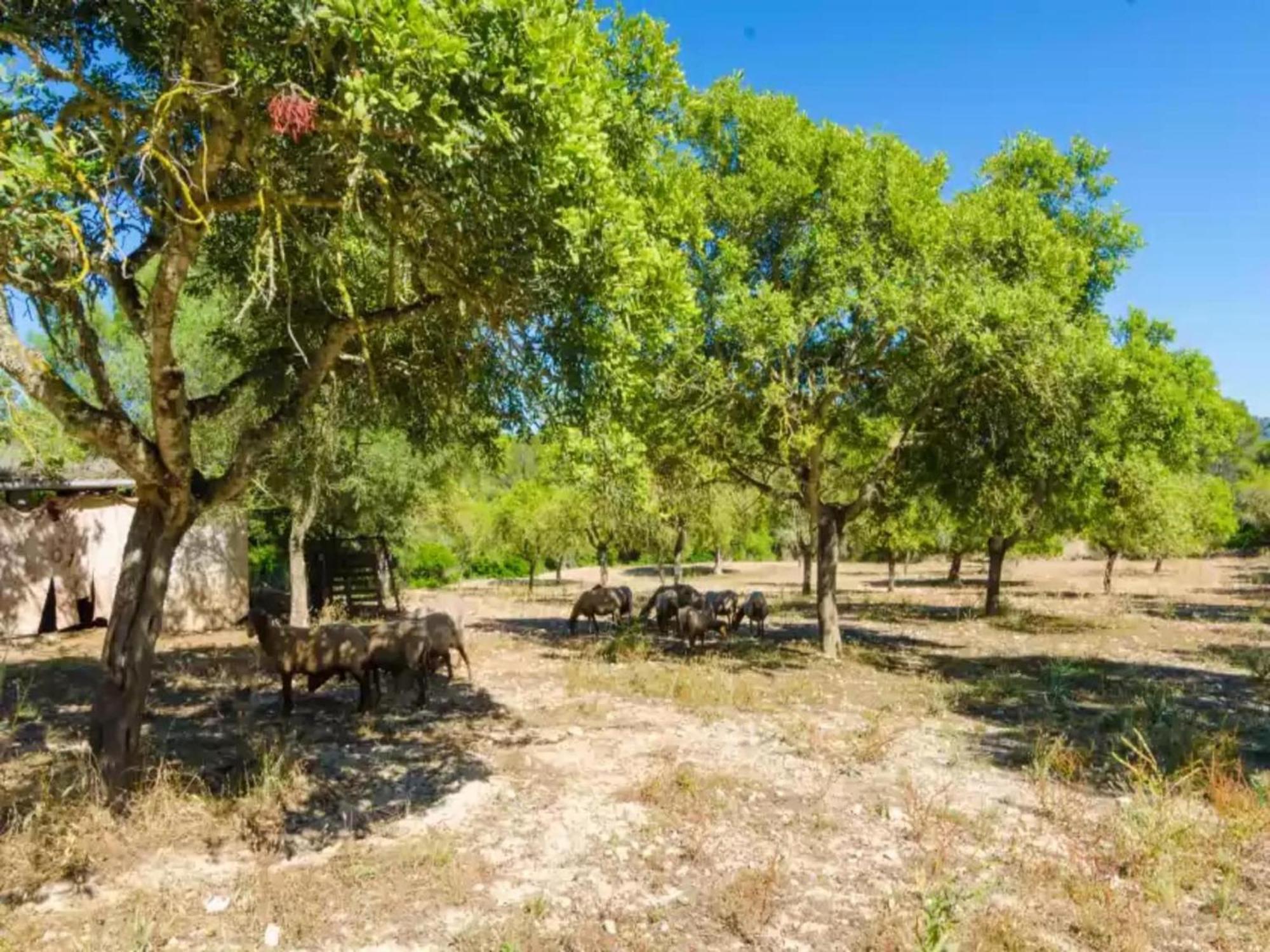 Fantastical With Private Pool Villa Randa